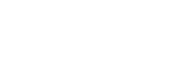 ./slsh Web Security
